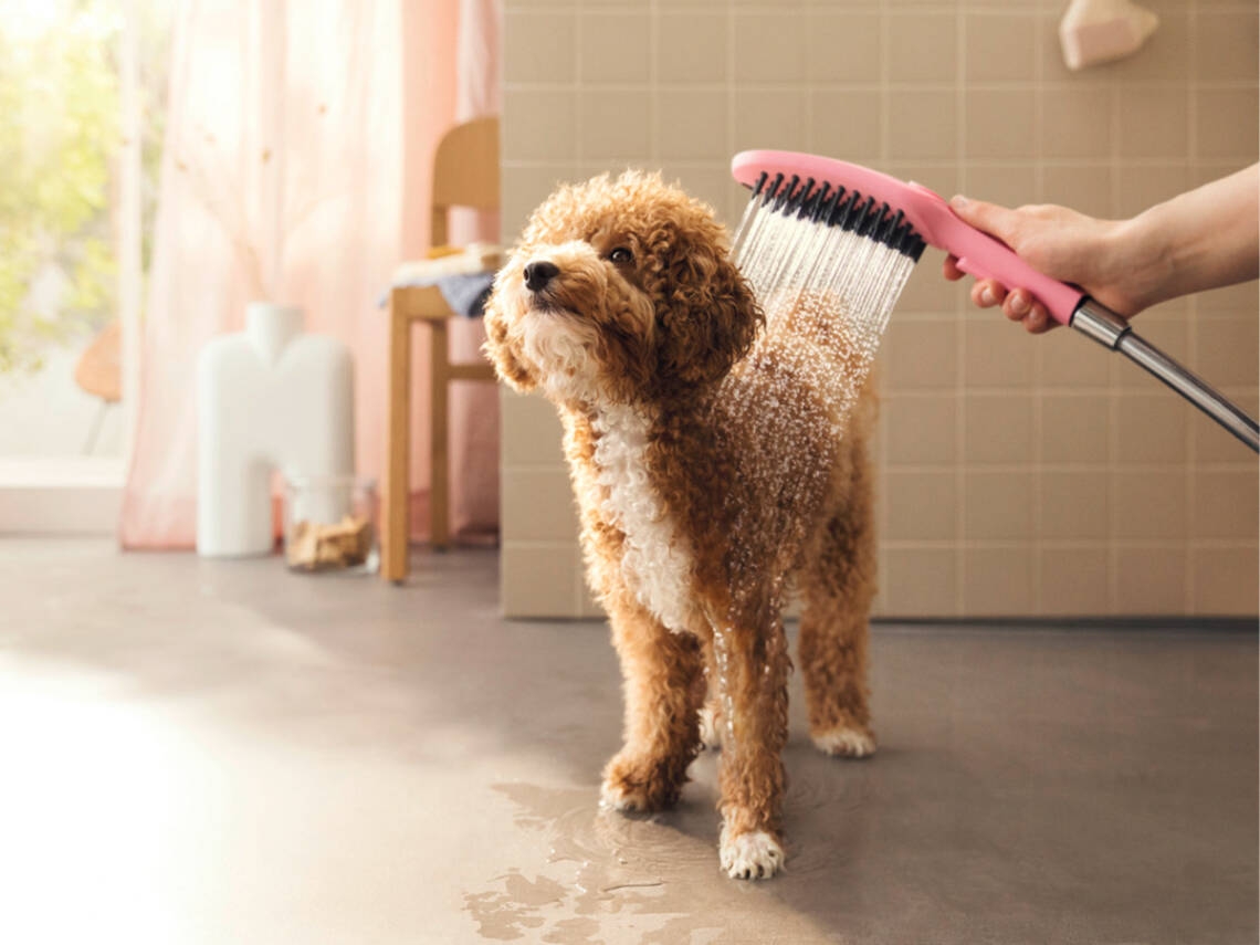 Pet hair detangling
